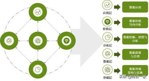 數(shù)據(jù)賦能 數(shù)字能力和數(shù)據(jù)治理成為數(shù)字財(cái)資的發(fā)動(dòng)機(jī)