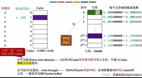 計算機組成原理 第三章存儲系統 下